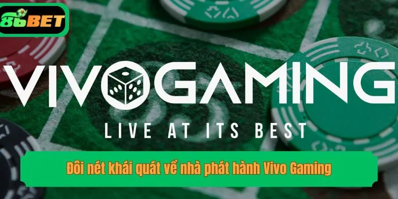 Đôi nét khái quát về nhà phát hành Vivo Gaming