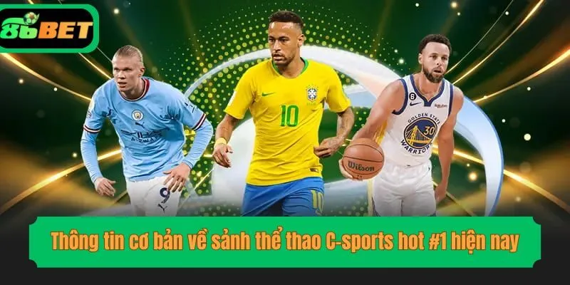 Thông tin cơ bản về sảnh thể thao C-sports hot #1 hiện nay